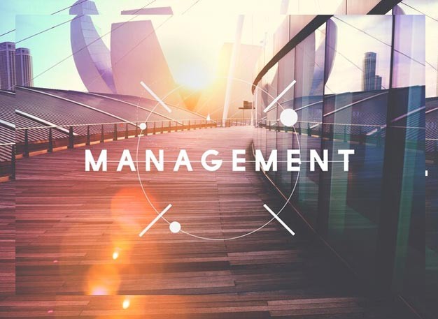 Faculty Of Management