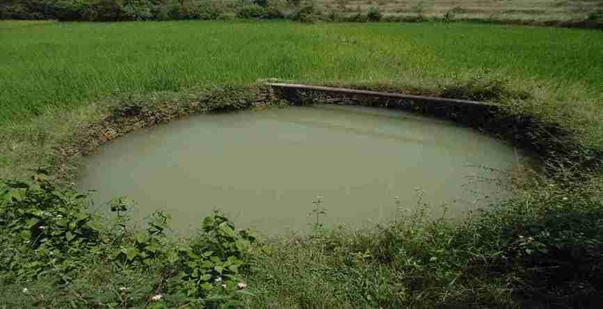 Rain Water Harvesting